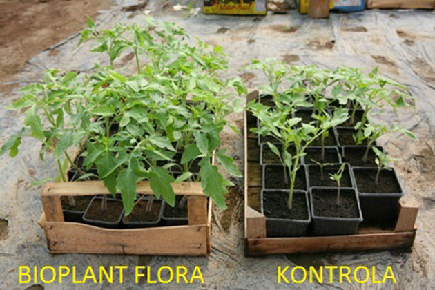 bioplant flora